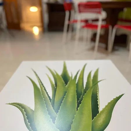 Private Aloes Daire