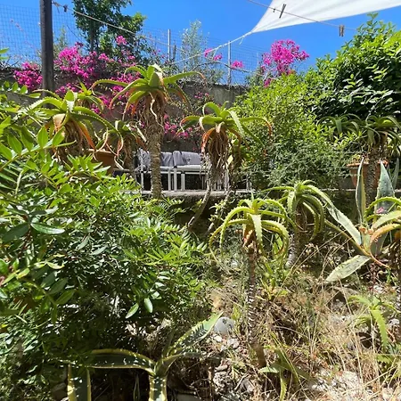 Private Aloes Apartamento San Nicola Arcella